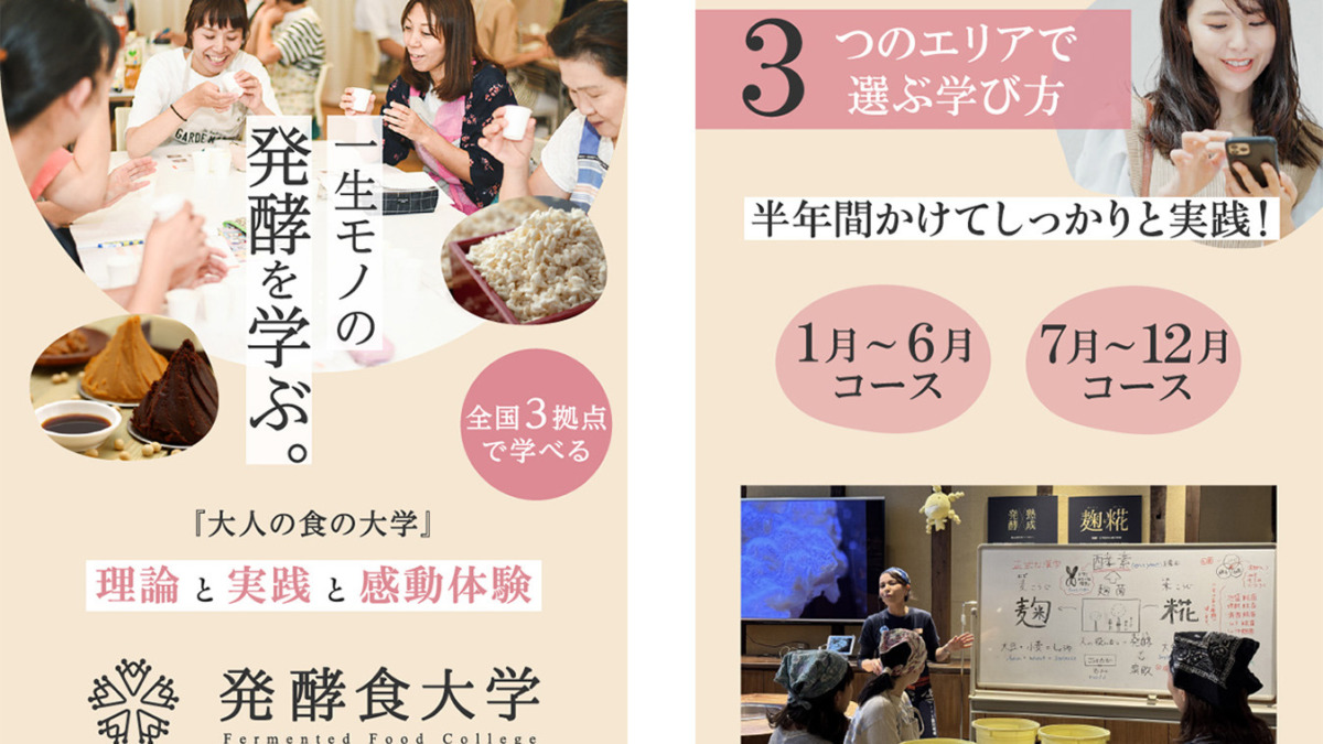 発酵食大学様 集客用LP（スマホ用）制作